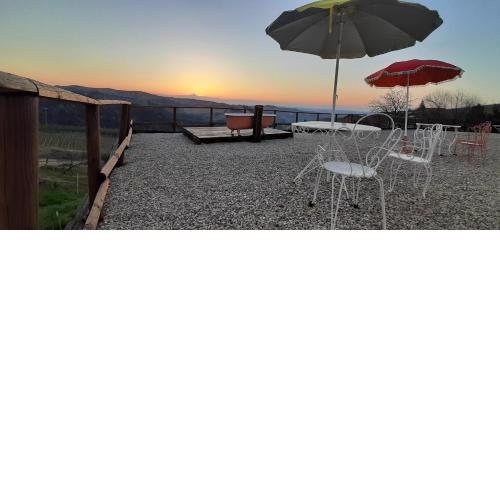 B&B Mermaid n 16/a