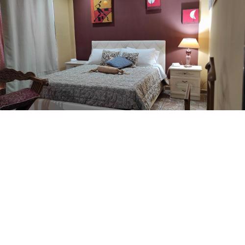 B&B miccoli