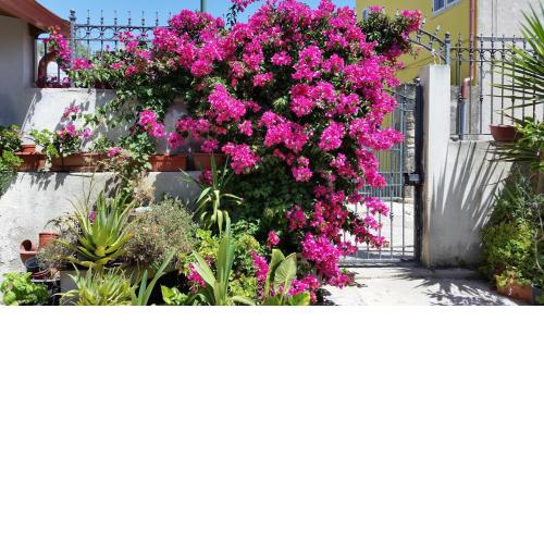 B&B Mitzixeddas