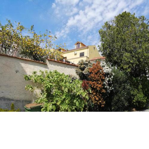 B&B Moscani