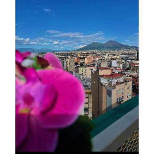 B&B Napoli's Rooftop