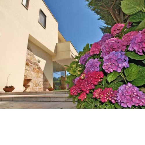 B&B Neptunia fronte mare