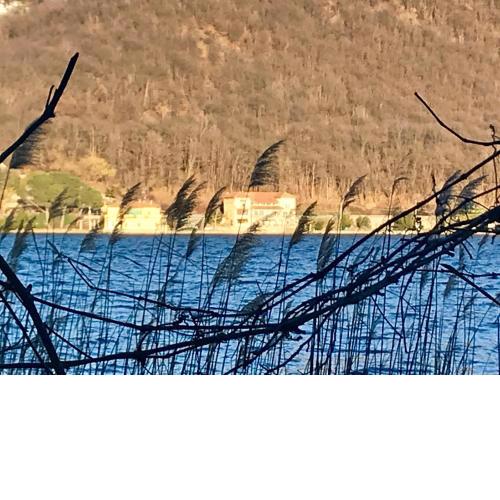 B&B Notte sul Lago