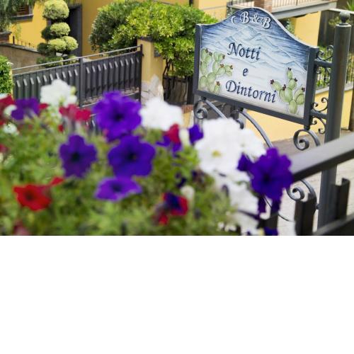 B&B Notti E Dintorni