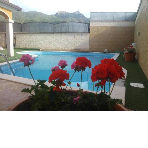 B&B Oasi SardAma