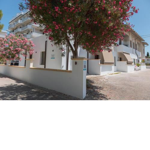 B&B OASI SUL MARE San Salvo Marina