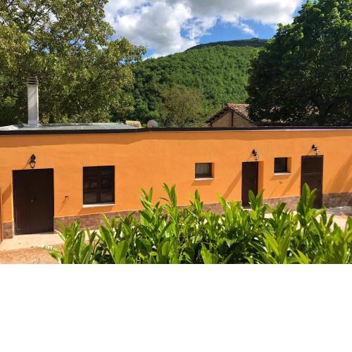B&B Ollyfarm