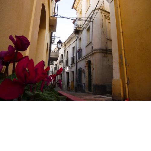B&B Ottocento