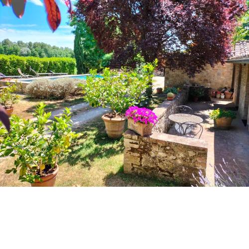B&B Palazzo a Merse