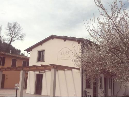 B&B Pane e Rose