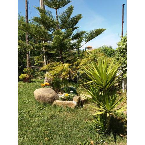 B&B Parco del Lago
