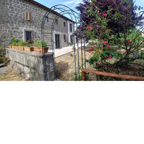 B&B Paternocchio