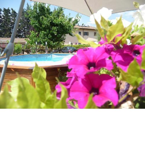B&B Pergolato di Sotto