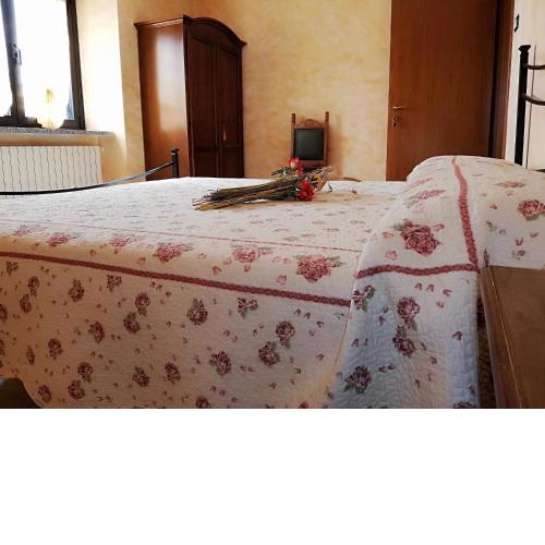 B&B Pivi
