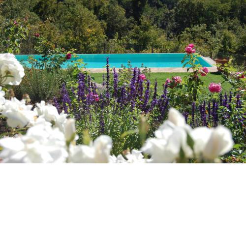 B&B Podere Il Colto