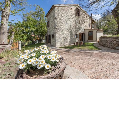 B&B Podere Legnotorto