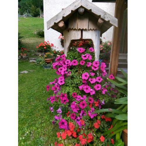 B&B PRA' DEI CERVI