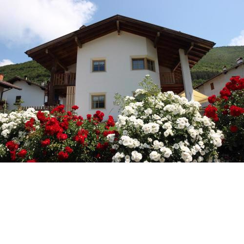 B&B Primavera