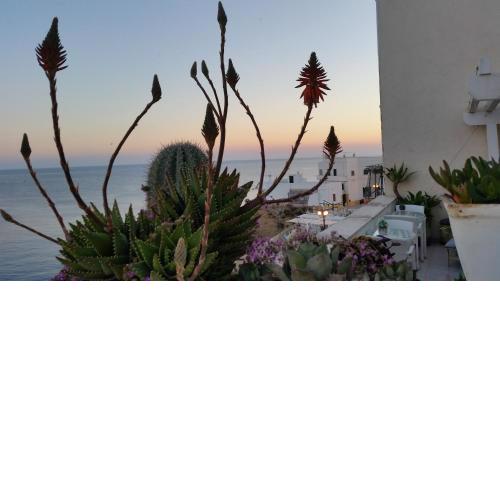 B&B Punta Cutieri