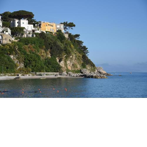 B&B Punta Vivara