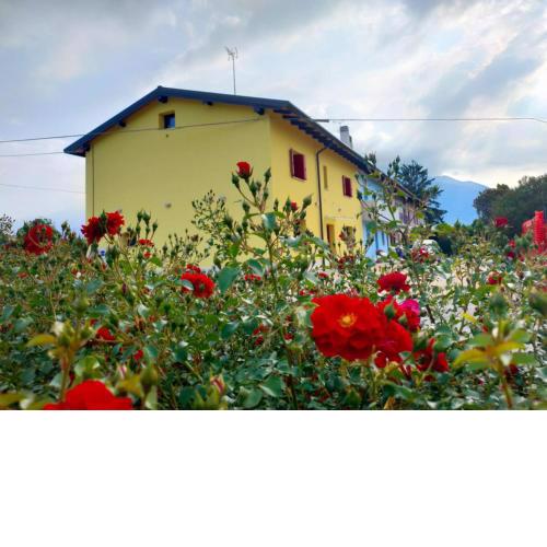 B&B Rio Rai