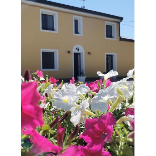 B&B Riva del Gallo