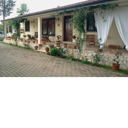 B&B RoLu
