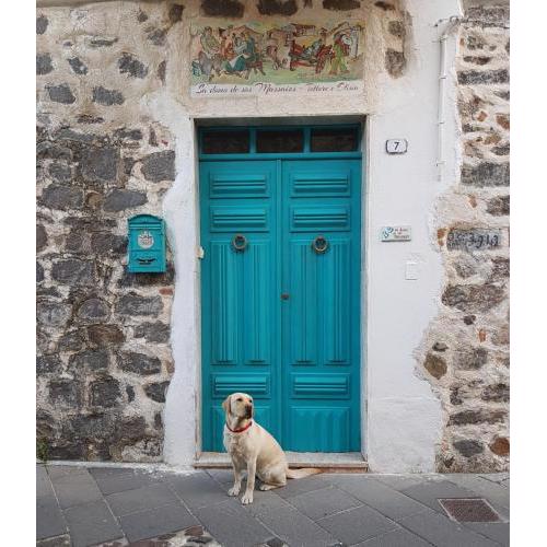 B&B Sa domo de sos Massaios