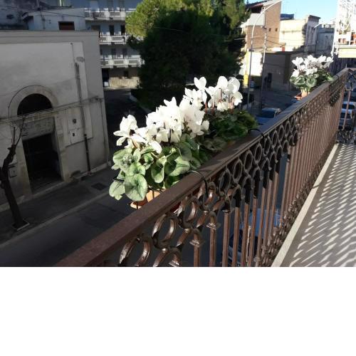 B&B Saffi