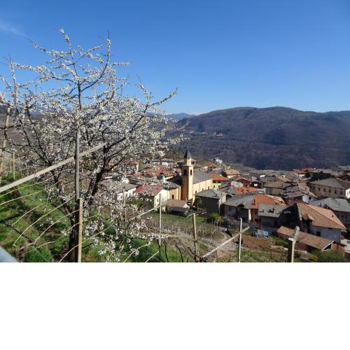 B&B San Valentino