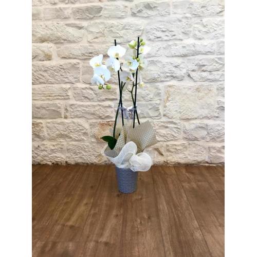 B&B Sant'Agostino