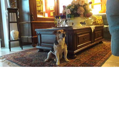 B&b Silvana