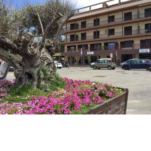 B&b Sulis