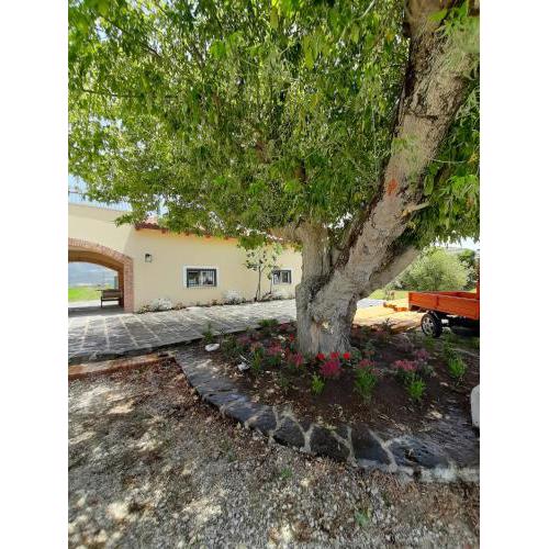 B&B Tenuta San Michele