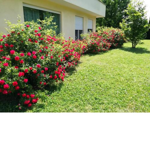 B&B Terra del Sole