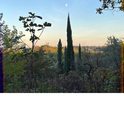 B&B Terre Toscane