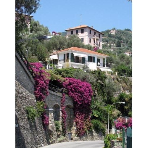B&B The Dream