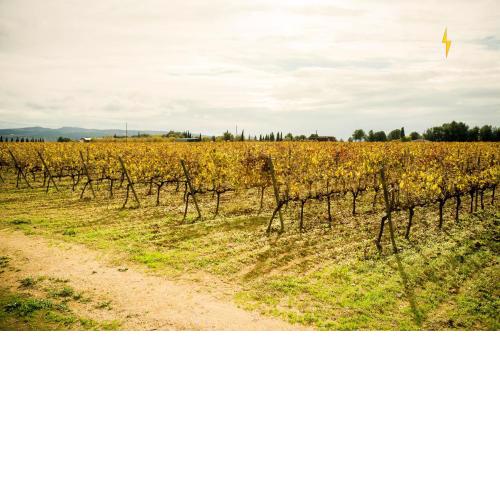 B&B Tina de Pacs, close to local wineries