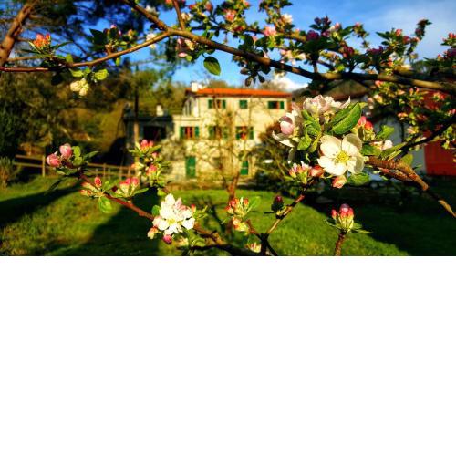 B&B Tre Ponti