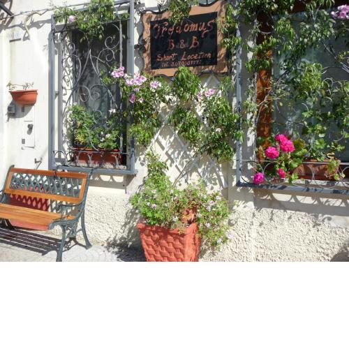 B&B Tredomus