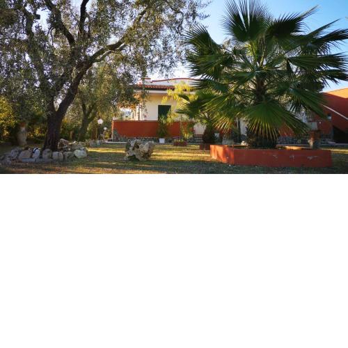 B&B Uliveto del Gargano