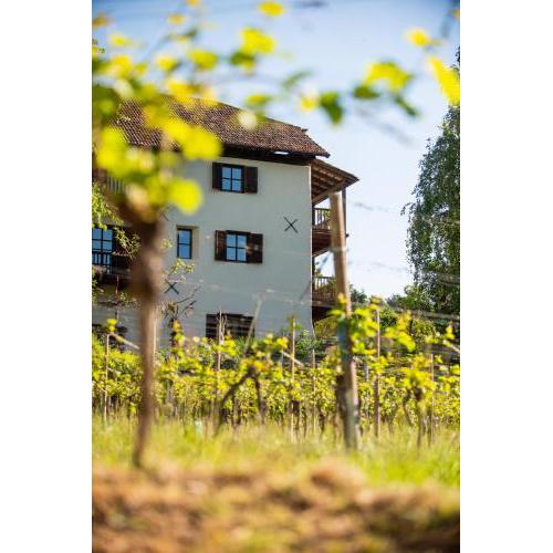 B&B Unterhabsbergerhof