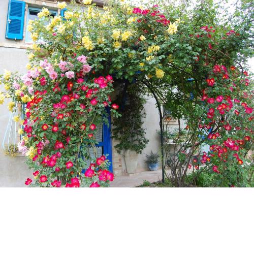 B&B Vento di Rose