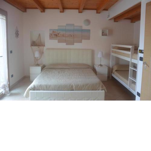 B&B Venus