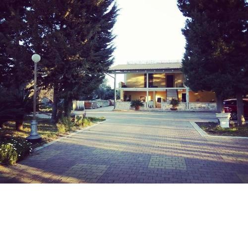 B&B Verdeoliva