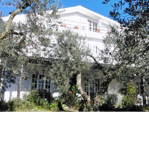 B&B Villa Ada