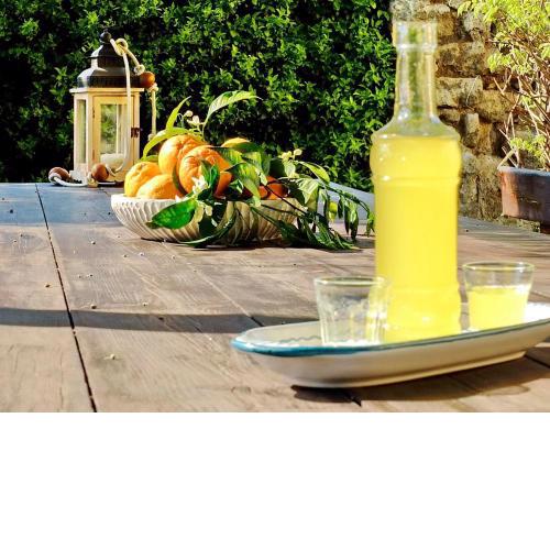 B&B Villa Elisa