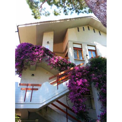 B&B Villa Fiorella