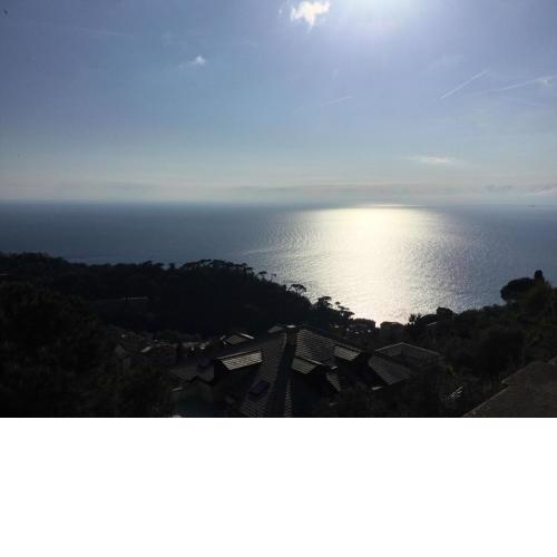 B&B Villa Orchidea