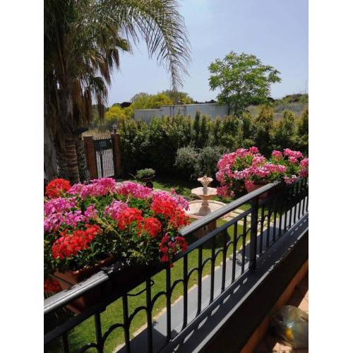 B&b Villa Salome'